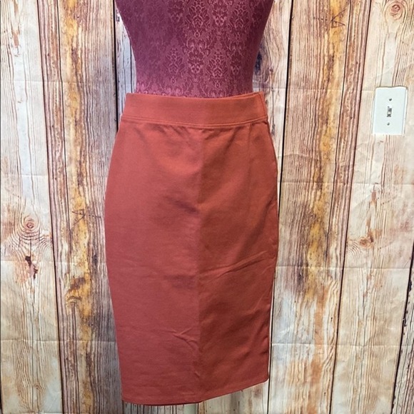 Pencil Shirk by Iris Rust Orange Women's NWOT - Picture 1 of 5